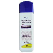 CANDIFUNG 100GM DUSTING POWDER