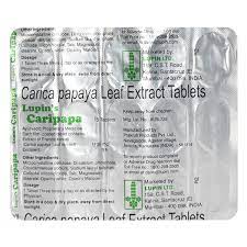 CARIPAPA TAB 15`S