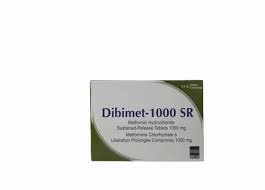 Dibimet 1000 SR (Metformin Hydrochloride)