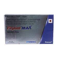 FITJOINT MAX STRIP OF 10 CAPSULES
