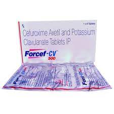 FORCEF CV 500MG TAB 6`S