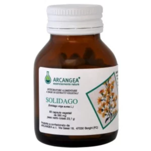 Solidago Bio Arcangea? 60 Capsules 385mg
