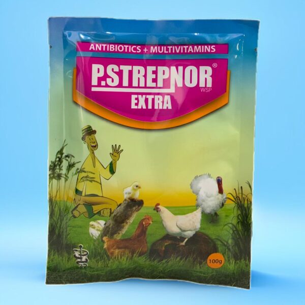 P.STREPNOR EXTRA