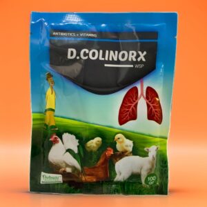 D.COLINORX WSP