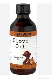 Piping Rock Clove Oil | Expires: 5/26
