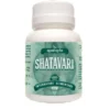 Shatavari Asparagus Nawayto 60 Tablets