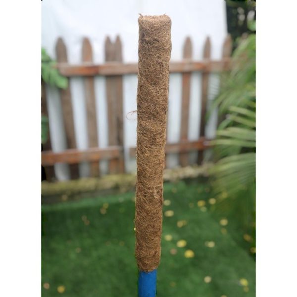 138cm Moss Pole