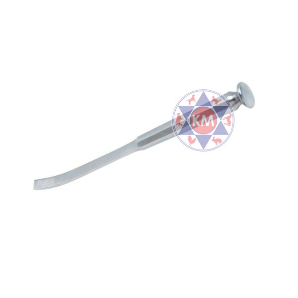 Bone Chisel Curved