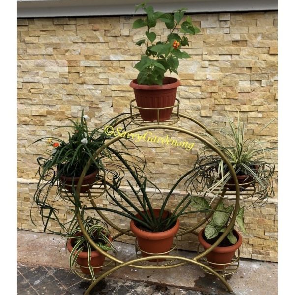 6-Pot Ring wrought Iron Plant Stand