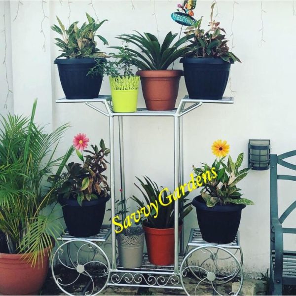 6 Tier Galvanised Iron Cart Plant Holder