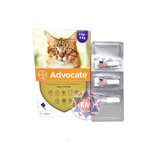 Advocate for Cat (M) ? 3 x 0.8ml