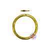 Bull Nose Ring Brass ? Large