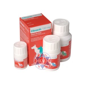 Clinacin 150mg Tablets ? 100?s (Clindamycin)