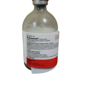 Excenel Sterile Powder (Ceftiofur) ? 4gm