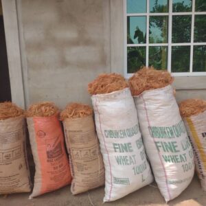 Treated Coconut Fibre