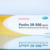 panfor Sr-500