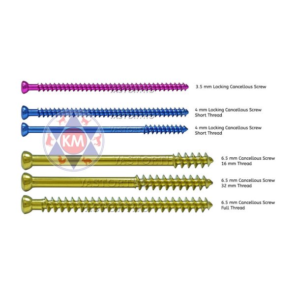 Cancellous Screws 20mm ? 3.5mm Diameter