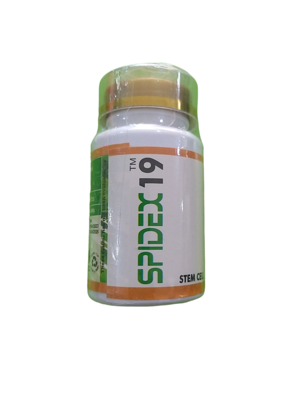 Spidex 19 (Stem Cell)