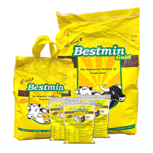 Bestmin Gold ? Multivitamin