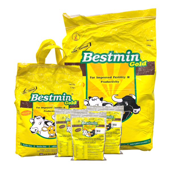 Bestmin Gold ? Multivitamin