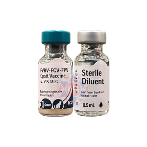 CAT VACCINE ? Purevax Feline 4RCCP