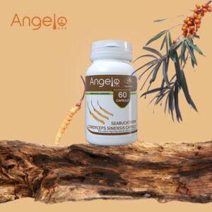 Angelo Seabuckthorn Cordyceps Sinensis Capsule x 60