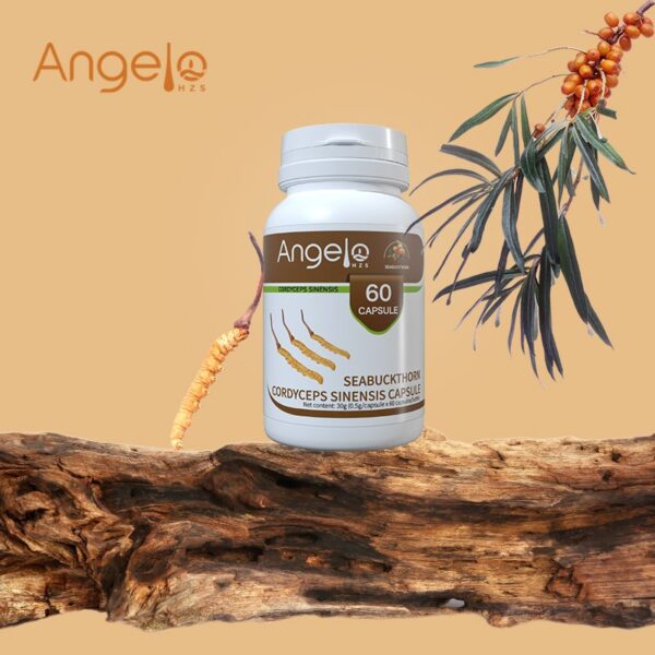 Angelo Seabuckthorn Cordyceps Sinensis Capsule x 60