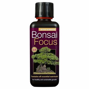 Bonsai Focus 300ml