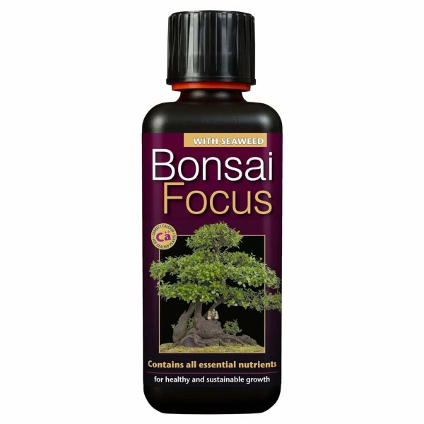 Bonsai Focus 300ml