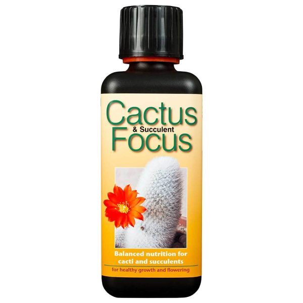 Cactus & Succulent Focus 300ml