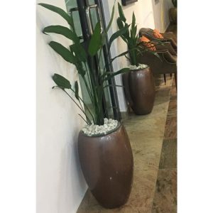 Cast Iron Indoor Plant In Plastic Pot