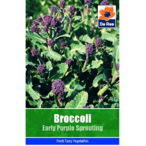 De Ree Broccoli Early Purple Sprouting