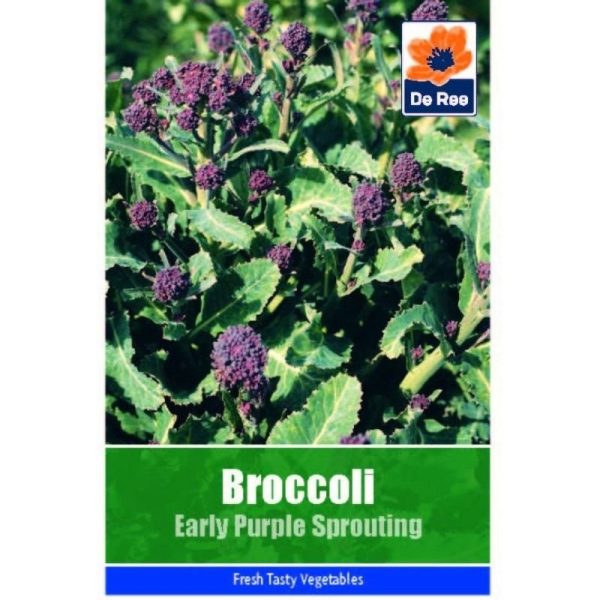 De Ree Broccoli Early Purple Sprouting