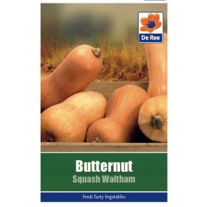 De Ree Butternut Squash Waltham