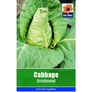 De Ree Cabbage Greyhound