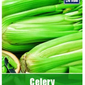 De Ree Celery Pascal Seeds