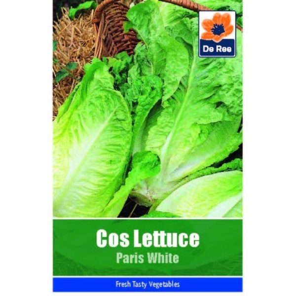 De Ree Cos Lettuce Paris White