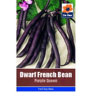 De Ree Dwarf French Bean Purple Queen