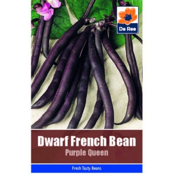 De Ree Dwarf French Bean Purple Queen