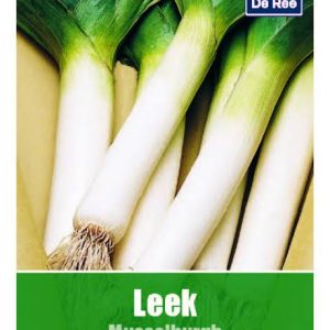 De Ree Leek Musselburgh Seeds