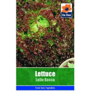 De Ree  Lettuce Lollo Rossa