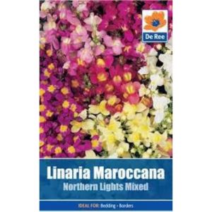De Ree Linaria Maroccana Northern Light Mixed