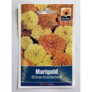 De Ree Marigold African Crackerjack