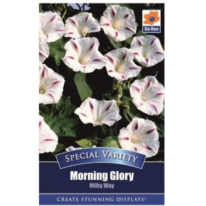 De Ree Morning Glory Milkyway
