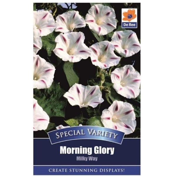 De Ree Morning Glory Milkyway