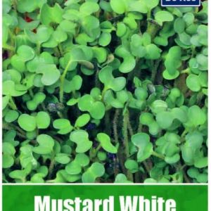 De Ree Mustard White Sprouting Seeds
