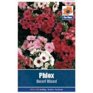 De Ree Phlox Dwarf Mixed