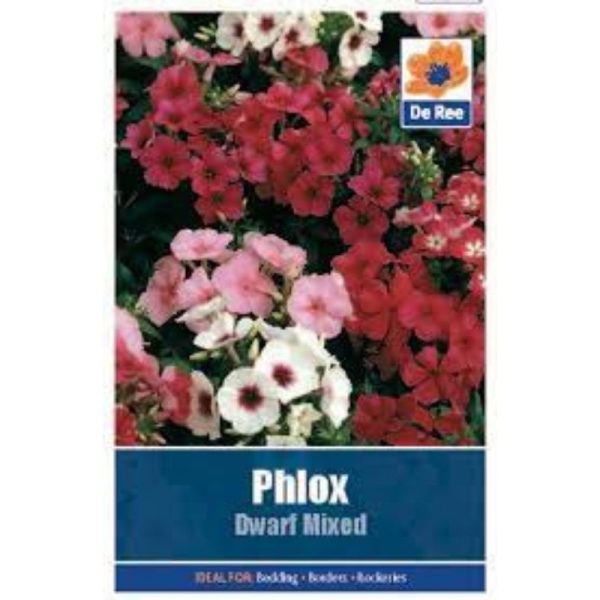 De Ree Phlox Dwarf Mixed