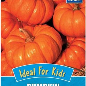 De Ree Pumpkin Jack o'Lantern Seeds
