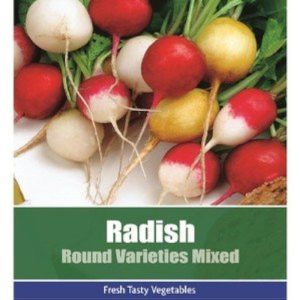 De Ree Radish Round Varieties Mixed